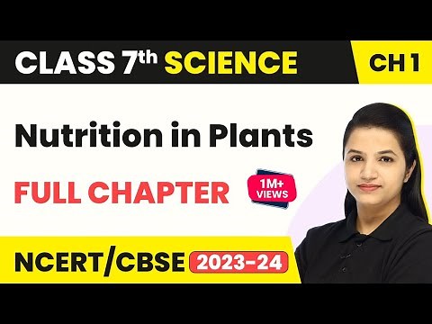 Class 7 Science Chapter 1 | Nutrition in Plants Full Chapter Explanation & NCERT Solutions