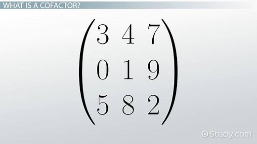 Cofactor Matrix | Definition, Calculation & Use