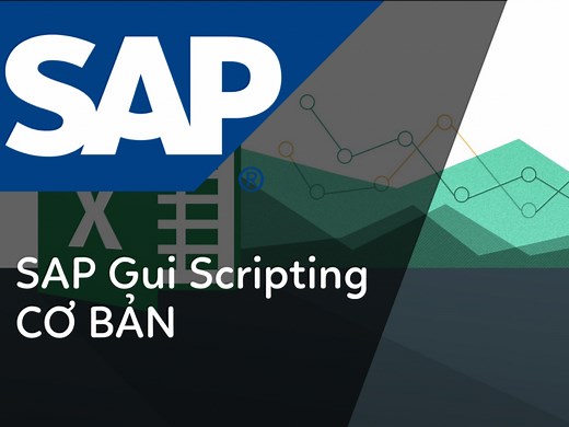 Khóa học SAP Gui Scripting cơ bản sử dụng ngôn ngữ VBA