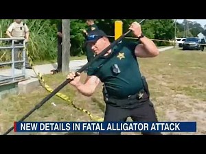 Florida Deputies Respond to DEADLY Alligator Attack | (Alligator Attack Compilation)
