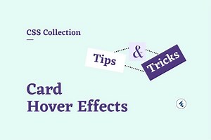 10  CSS card hover effects (latest collection) - Essential Web Apps