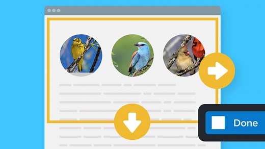Capture a Scrolling Area | Snagit Tutorial