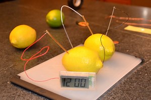 Lemon Battery Experiment for Kids