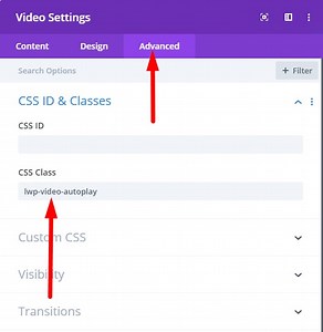 How to Autoplay Videos in Divi Video Module And Hide Controls - LearnHowWordPress