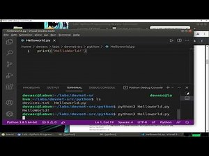 1.3.3 Lab - Python Programming Review