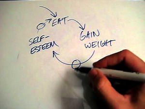 Influence Diagram Episode