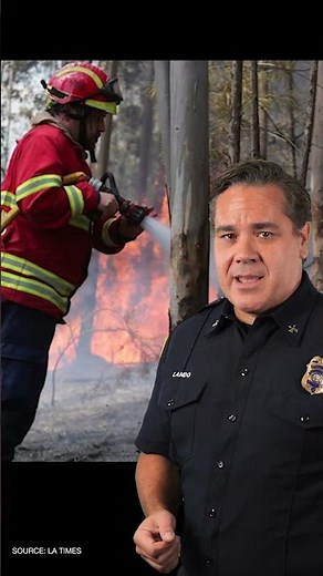 Exploding Eucalyptus Trees