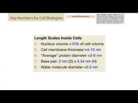 BioNumbers database & Cell Bio by #'s: resources for keeping biochemical sense of scale, rates, etc.