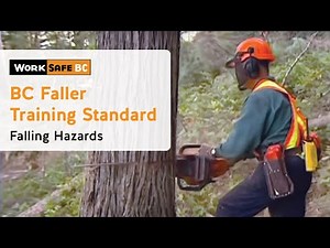 BC Faller Training Standard - Falling Hazards (13 of 17)