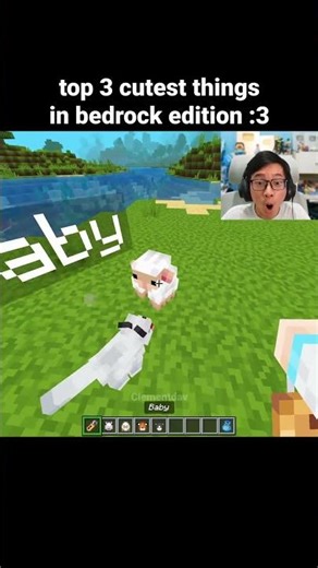 Minecraft Cutest Things Moment