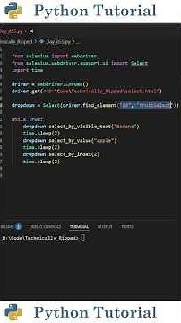 Pick Dropdown Options with Selenium | Python Tutorial