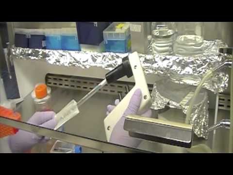 Cell Culture Training Video
