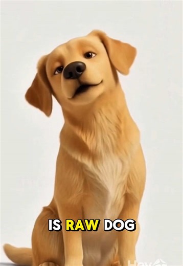 Benefits of Raw Feeding for Dogs