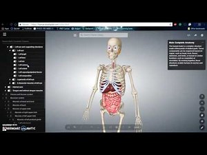 Biodigital Human Tutorial