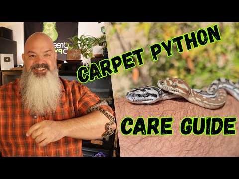 Complete Care Guide for CARPET PYTHONS