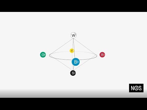 NCS – Natural Colour System®