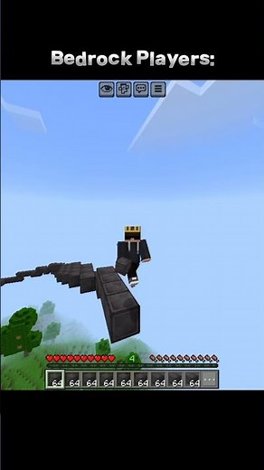 Java VS Bedrock bridging #minecraft