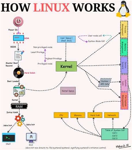 How Linux Works #linux #python #developer #foryoupage #fyp #techtok #programming
