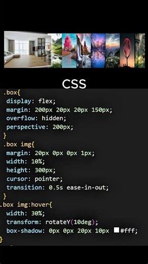 This Hover Effect Will Blow Your Mind! 🤯 | HTML CSS Trick