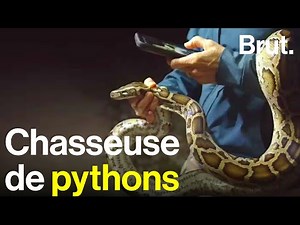 Agente immobilière, elle est devenue chasseuse de pythons