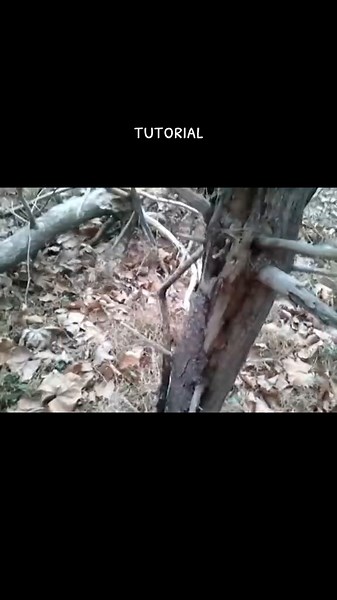 survival #fyp #scary #creepy #weird #alantutorial | alan tutorial