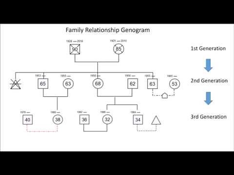 Genogram Drawing Guide - How to Draw Family and Emotional Relationships Genogram| EdrawMax