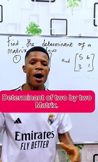 Understanding Determinants of Matrix Explained