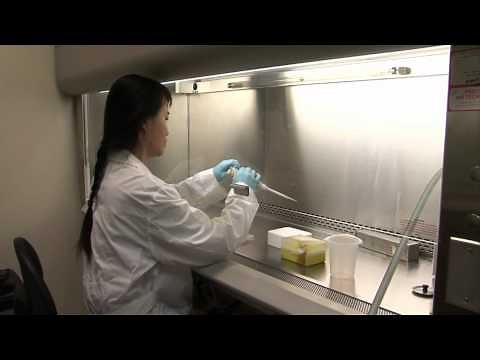 Laboratory Safety Guidelines