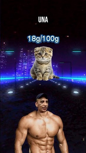 Aprende a utilizar la función some() en javascript