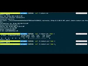Getting HTTP Status Codes from the Command Line