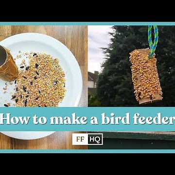 How to Make a Bird Feeder Using Toilet Paper Roll