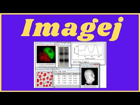 Step-by-Step Guide: How to Use ImageJ for Image Analysis