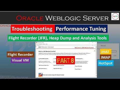Weblogic Server Performance Tuning and Troubleshooting (HeapDump) - PART 8