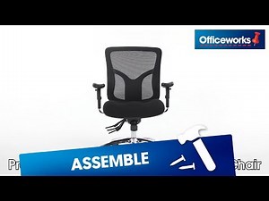 Professional Ergonomic Chair Assembly Instructions