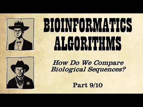 Space-Efficient Sequence Alignment