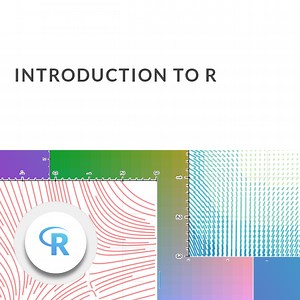 5.4K views · 172 reactions | Learn about fundamental data types, logic, and how to create your own functions using the R language. | DataCamp | Facebook