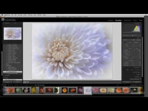 Using Lightroom with Two Monitors