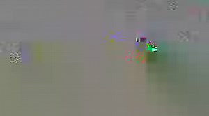 14K views · 269 reactions | Historical Savings is a new feature under “Bill Payments” in the PalmPay app that allows you as a user to see the total money PalmPay has helped you save by performing transactions in the app. You’ll be amazed how much it can add up to. Update/ Download your PalmPay app now and watch this Video to see how much you’ve saved using the PalmPay app. | PalmPay Nigeria | Facebook