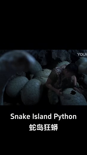 459K views · 4.1K reactions | The giant python came behind the man! #蛇岛狂蟒 #SnakeIslandPython #优酷电影 #youkumovie | Youku Movie | Facebook