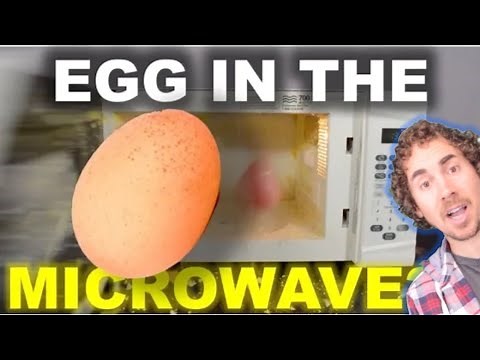 Egg in the Microwave? WARNING: Explosion!