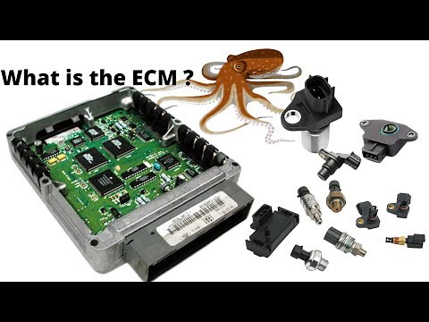 What is an Engine Control Module (ECM) and how does it work?