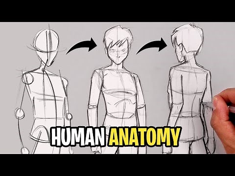How To Draw HUMAN BODY | Beginner Pencil Sketch Tutorial (Step-by-Step)