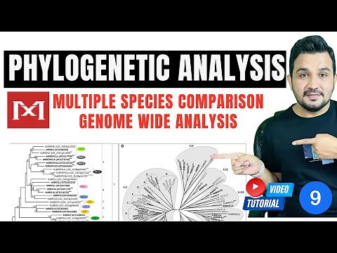 How to perform Phylogenetic analysis using MEGA 11 software