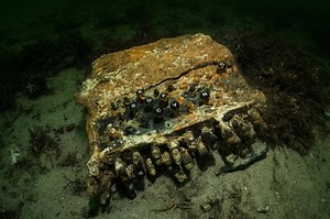 Divers discover Nazi WW2 enigma machine in Baltic Sea