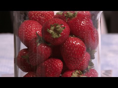 How to extract DNA from strawberries