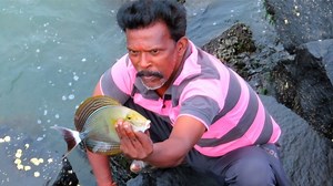 38K views · 206 reactions | Catching Tang Fish in Saltwater River | Kadal mariyan- fishing | Facebook