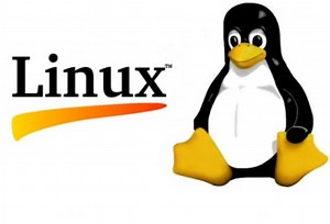 Linux Hardware Check: Using lshw Command | ComputingForGeeks