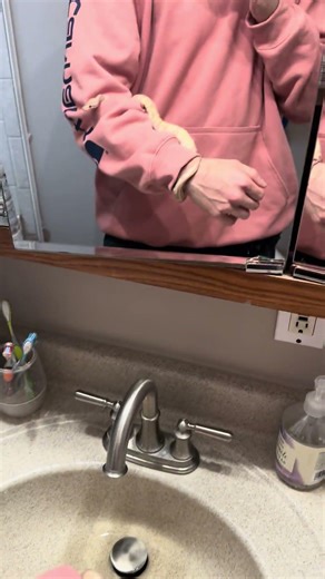 Banana Leopard Pastel YellowBelly Ball Python From Wilbanks Reptiles 🐍 #snake #ballpython #snakes