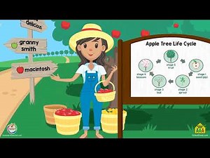Exploring Nature: The Life Cycle of Apple Trees on Anywhere Teacher - Growth Cycle for Apples
