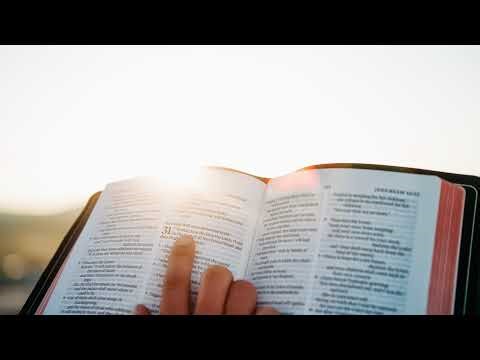 Live Broadcast - Encoder